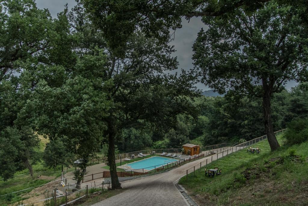 Agriturismo Specchio Del Lago Montefiascone Exterior photo