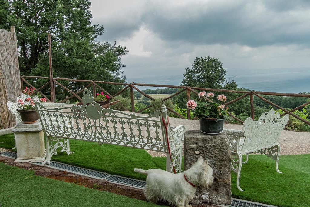 Agriturismo Specchio Del Lago Montefiascone Exterior photo