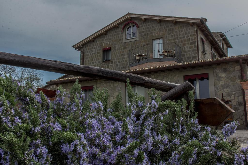 Agriturismo Specchio Del Lago Montefiascone Exterior photo